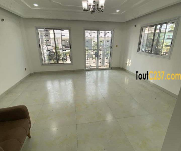 Appartement en duplex à louer à Bonapriso