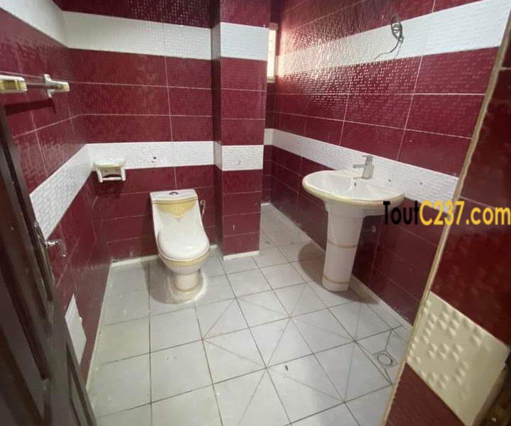 Appartement en duplex à louer à Bonapriso