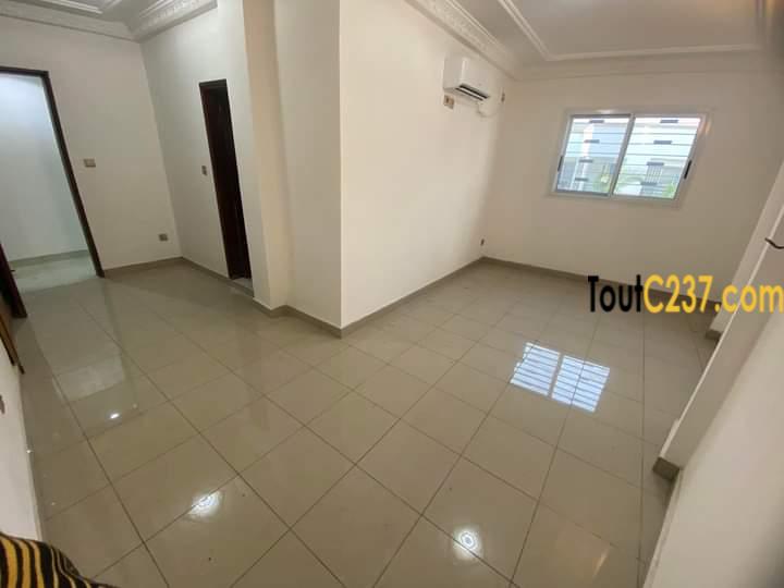 Appartement en duplex à louer à Bonapriso