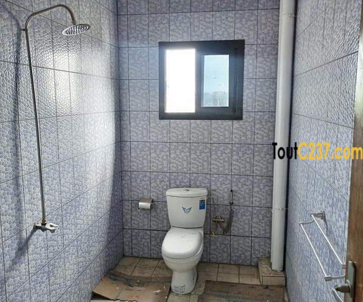 Appartement neuf à louer à Makepe