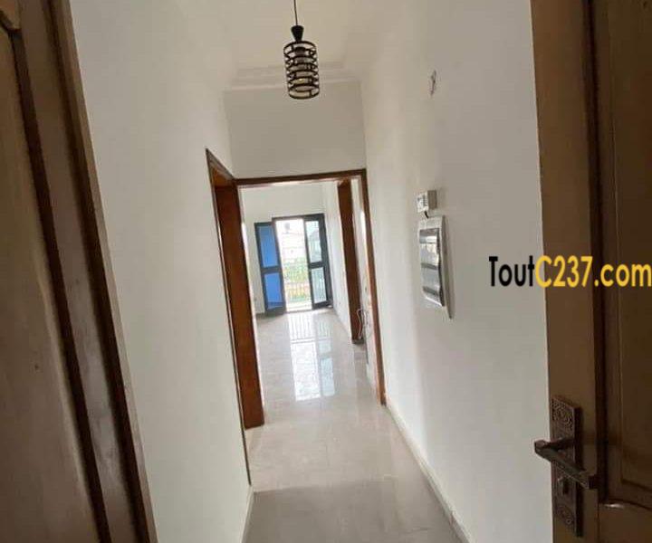 Appartement neuf à louer à Makepe