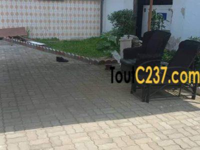 Maison en duplex à louer à Bonapriso