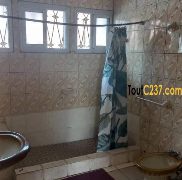 Maison en duplex à louer à Bonapriso