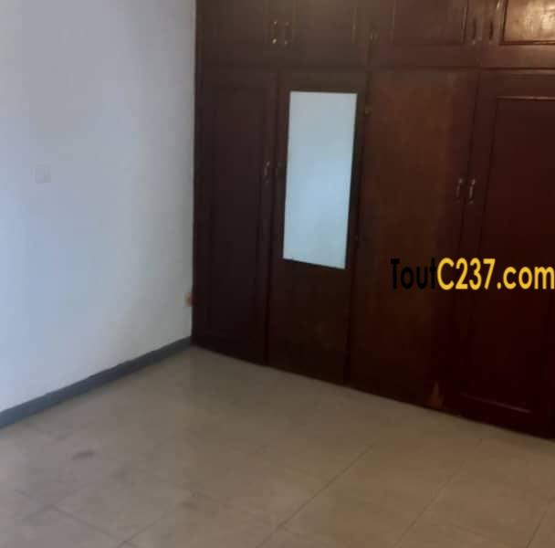 Maison en duplex à louer à Bonapriso