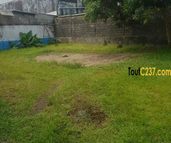 Maison en villa a louer à Deido, Douala