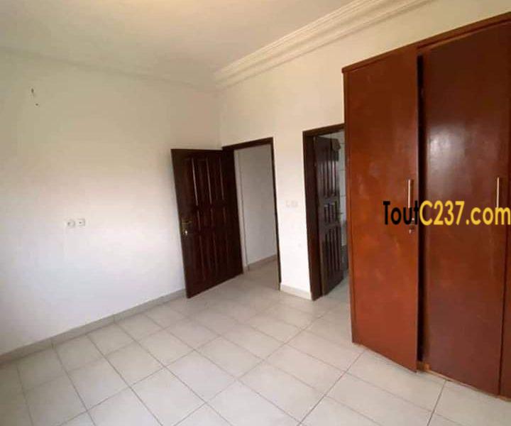 Appartement neuf à louer à Bonamoussadi