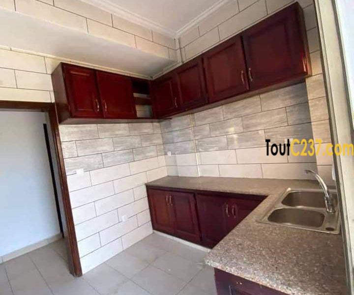 Appartement neuf à louer à Bonamoussadi