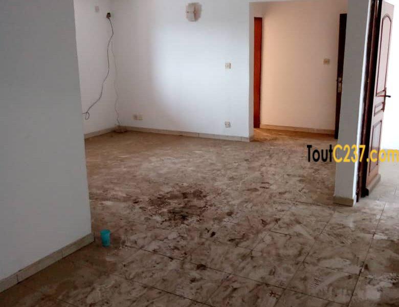 Appartement à louer à Ngodi Akwa
