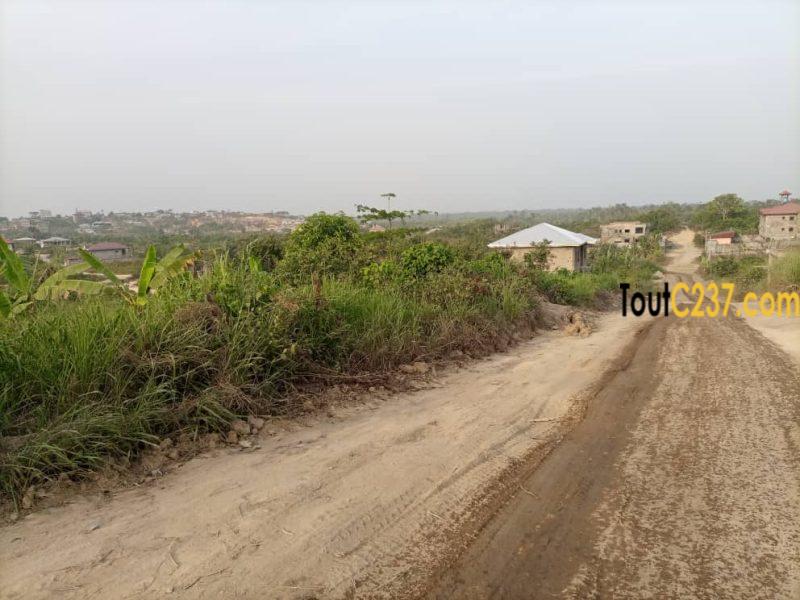Terrain à vendre a Japoma Douala