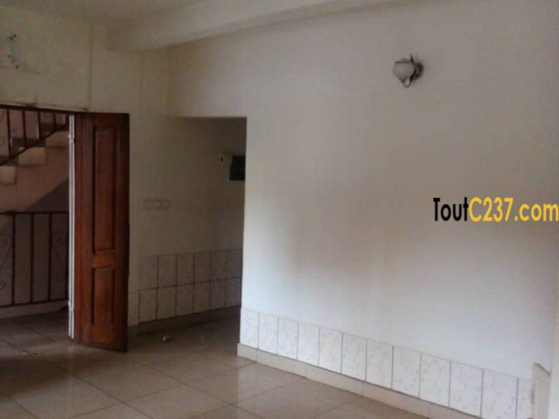 Studio moderne à louer à Bonapriso