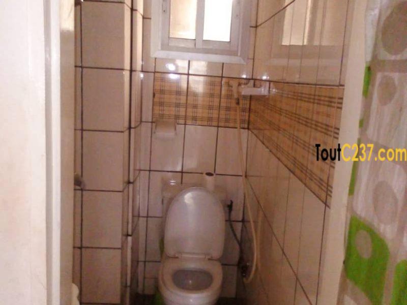 Studio moderne à louer à Bonapriso