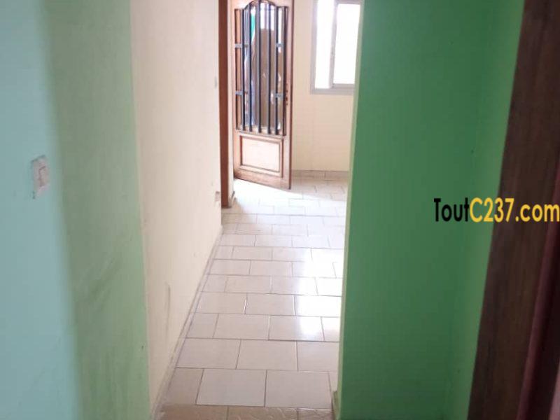 Studio moderne à louer à Bonapriso, Douala