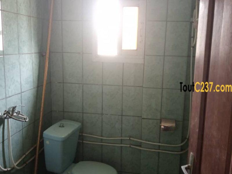 Studio moderne à louer à Bonapriso, Douala