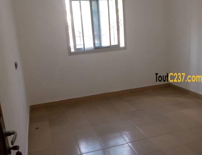 Vaste Appartement à louer à Bonamoussadi