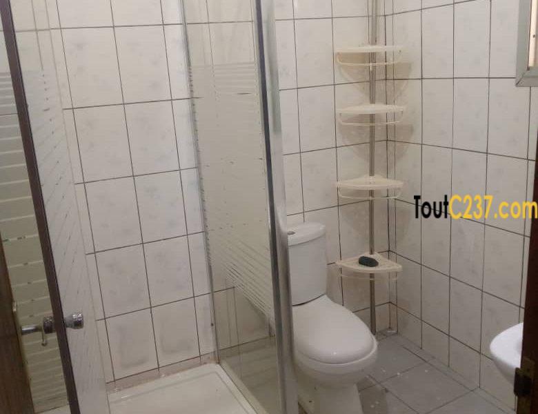 Vaste Appartement à louer à Bonamoussadi