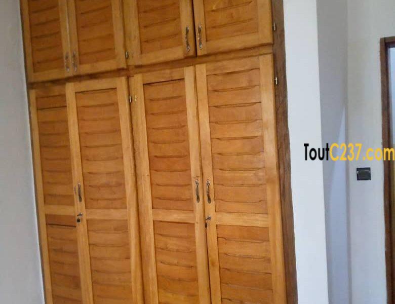 Vaste Appartement à louer à Bonamoussadi