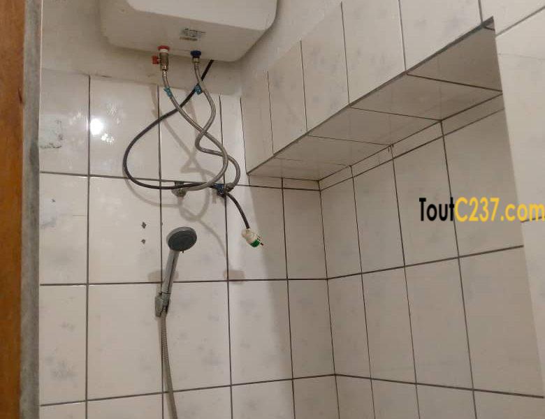 Vaste Appartement à louer à Bonamoussadi