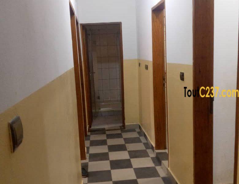 Vaste Appartement à louer à Bonamoussadi