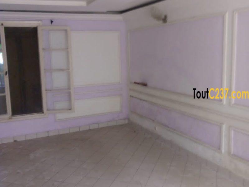 Studio moderne à louer à Bali
