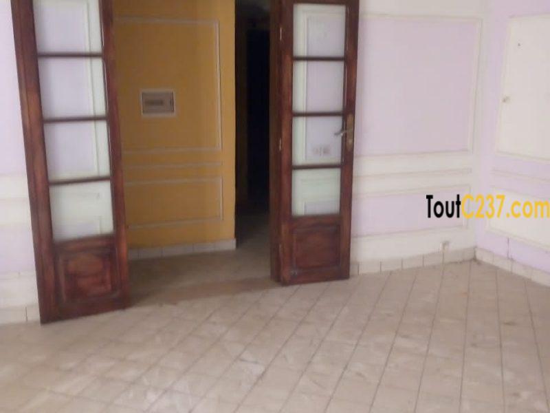 Studio moderne à louer à Bali