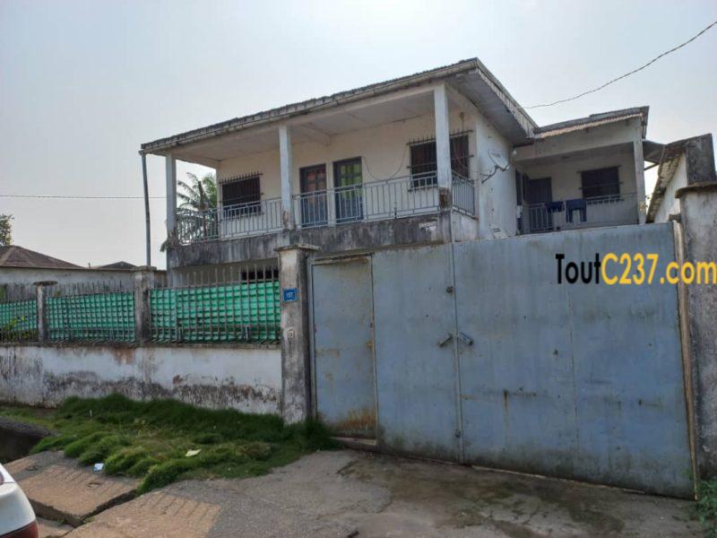 Duplex à vendre à Bonaberi Douala