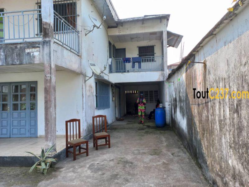 Duplex à vendre à Bonaberi Douala
