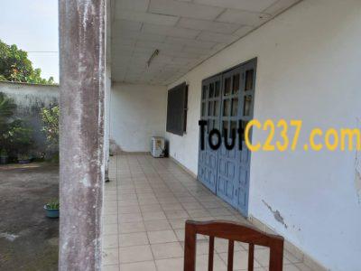 Duplex à vendre à Bonaberi Douala