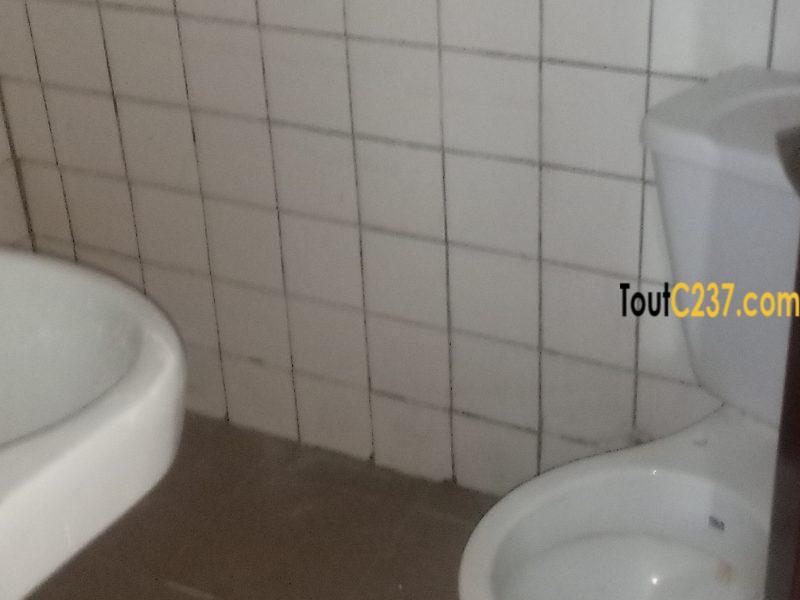 Studio moderne à louer à Bonamoussadi