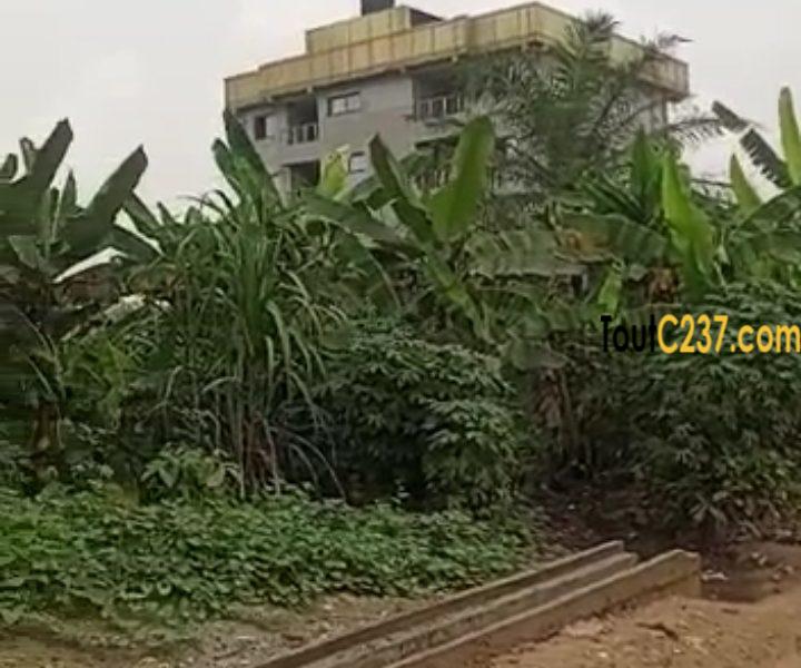 Très bon terrain à vendre à Pk13 Douala