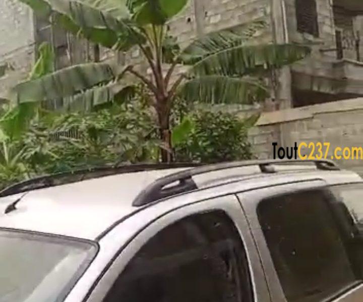 Très bon terrain à vendre à Pk13 Douala