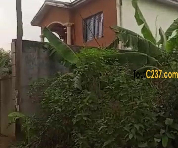 Très bon terrain à vendre à Pk13 Douala
