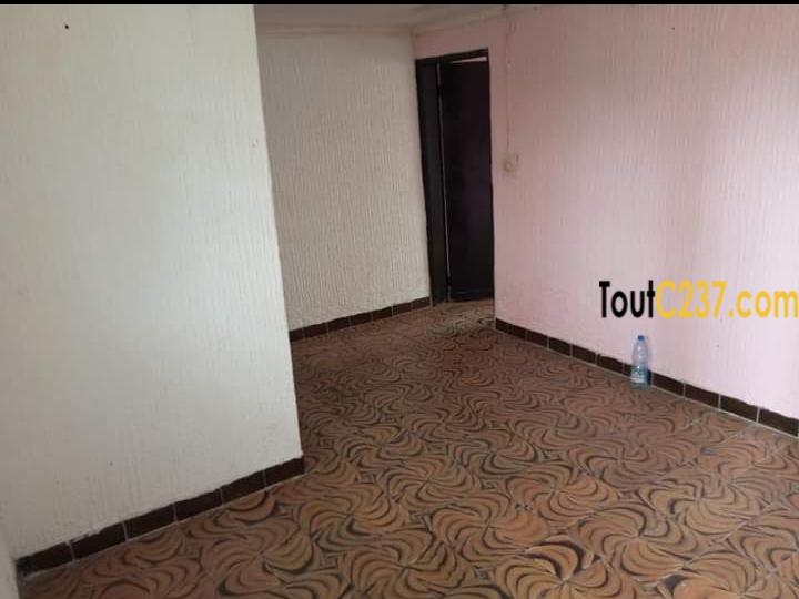 Studio Moderne à louer à Bonapriso