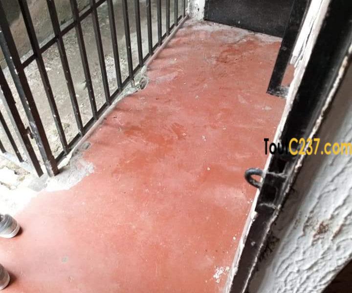 Studio Moderne à louer à Bonapriso