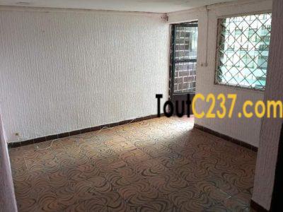 Studio Moderne à louer à Bonapriso