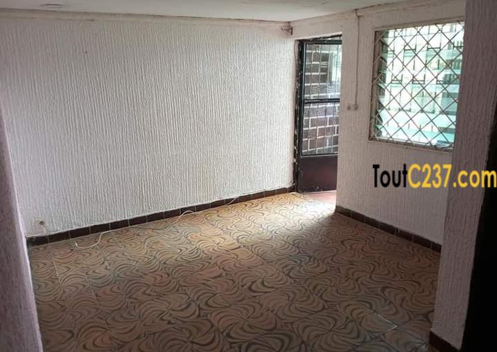 Studio Moderne à louer à Bonapriso