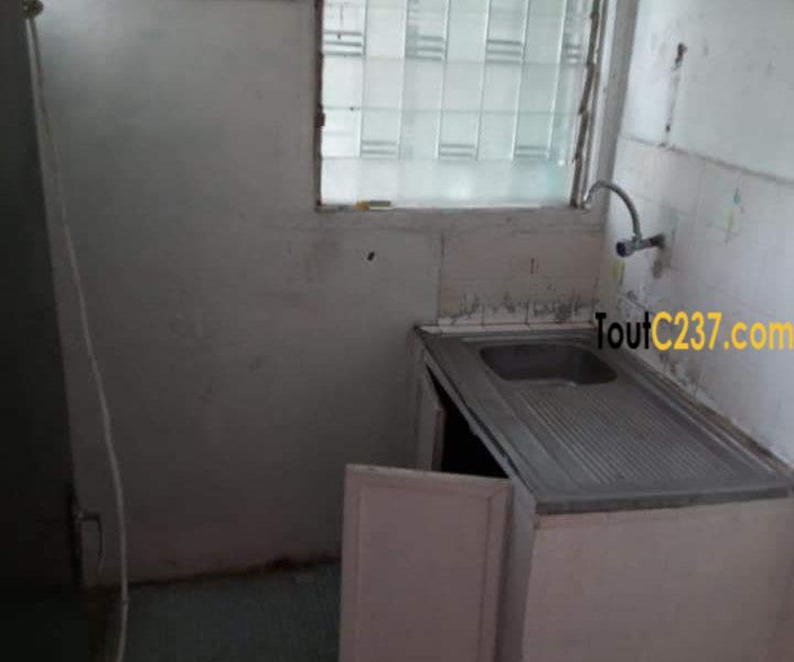 Studio Moderne à louer à Bonapriso