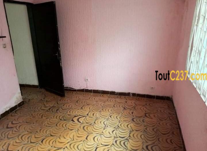 Studio Moderne à louer à Bonapriso