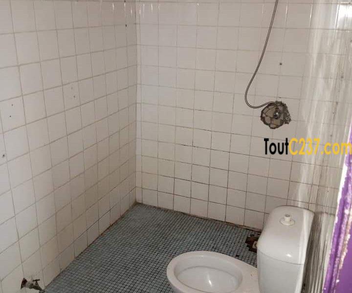 Studio Moderne à louer à Bonapriso