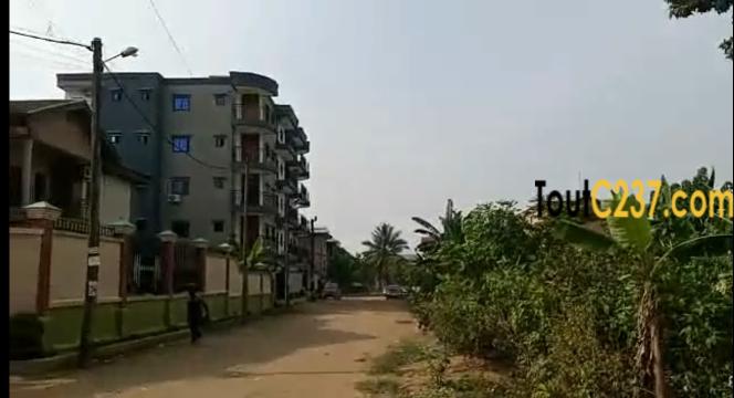 Offre spéciale : Terrain à vendre à Logbessou