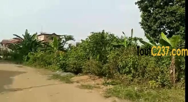 Offre spéciale : Terrain à vendre à Logbessou