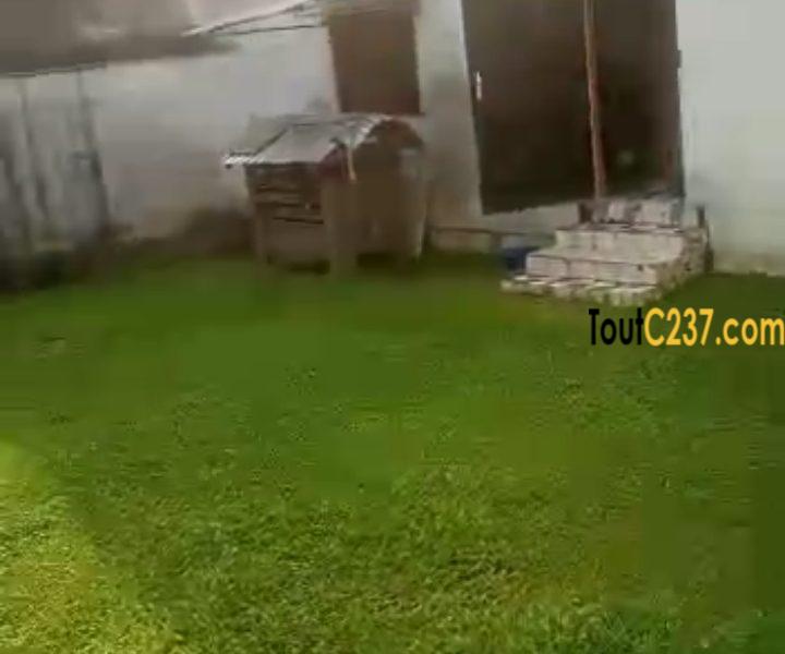 Vaste villa à louer à Akwa Douala