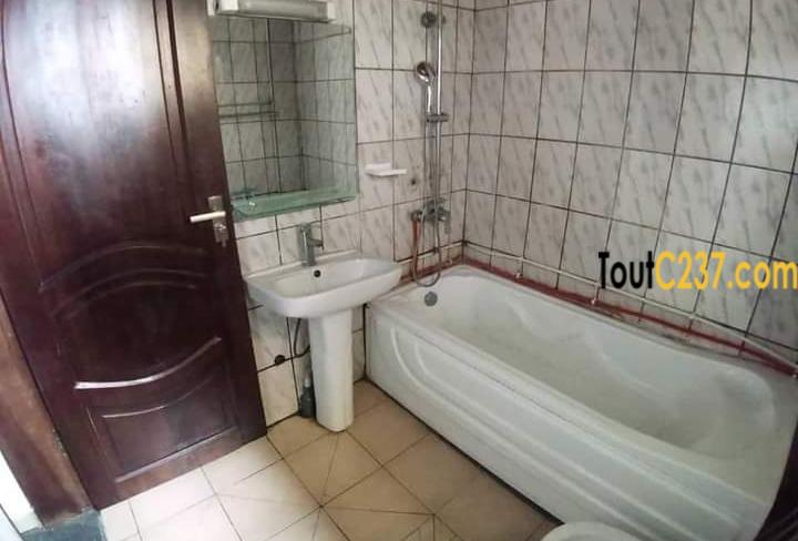 Appartement à louer à Bonamoussadi