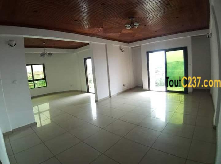 Appartement à louer à Bonamoussadi