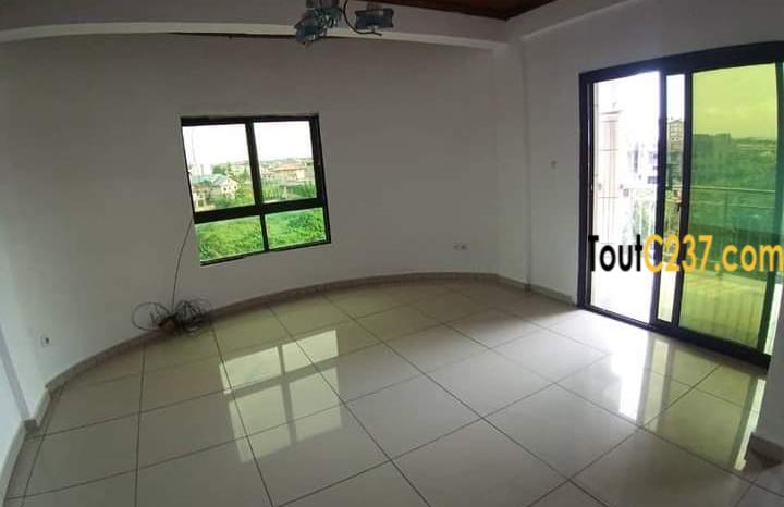 Appartement à louer à Bonamoussadi