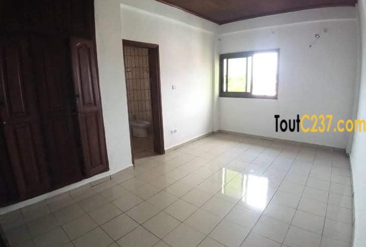 Appartement à louer à Bonamoussadi