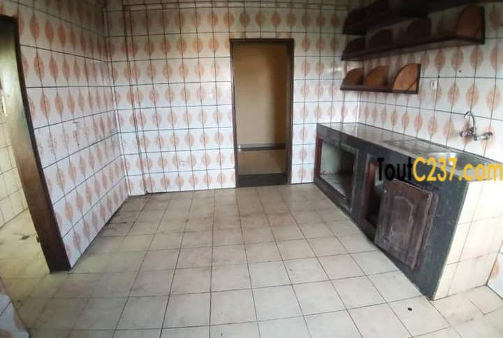 Appartement à louer à Bonamoussadi