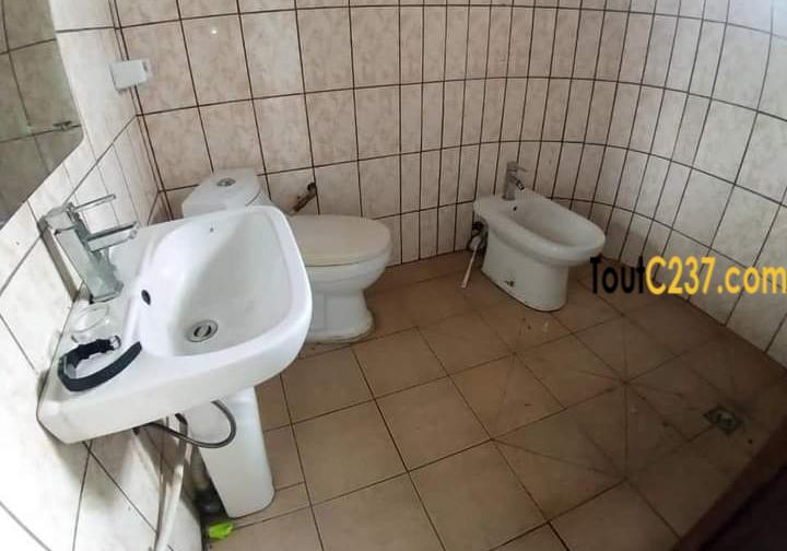 Appartement à louer à Bonamoussadi