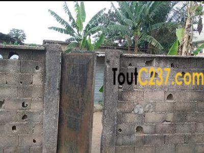 Terrain à vendre à Pk12, Douala