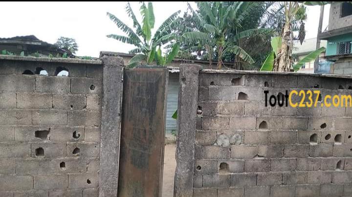 Terrain à vendre à Pk12, Douala