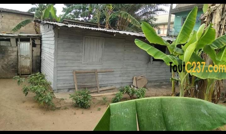 Terrain à vendre à Pk12, Douala
